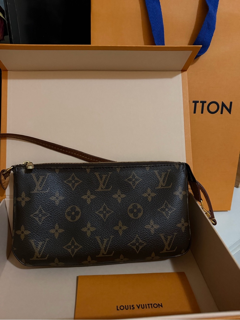 Louis Vuitton Monogram Canvas Mini Pochette in Brown